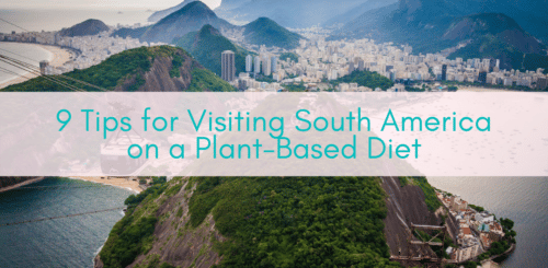 Girls Who Travel | 9 Tips for Visiting South America on a Plant-Based Diet
