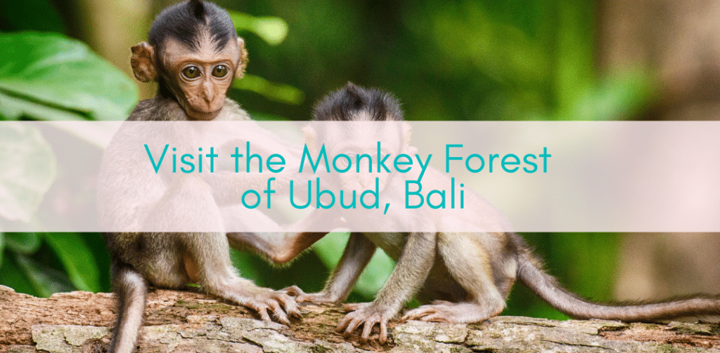 Girls Who Travel | Visit the Monkey Forest of Beautiful Ubud, Bali