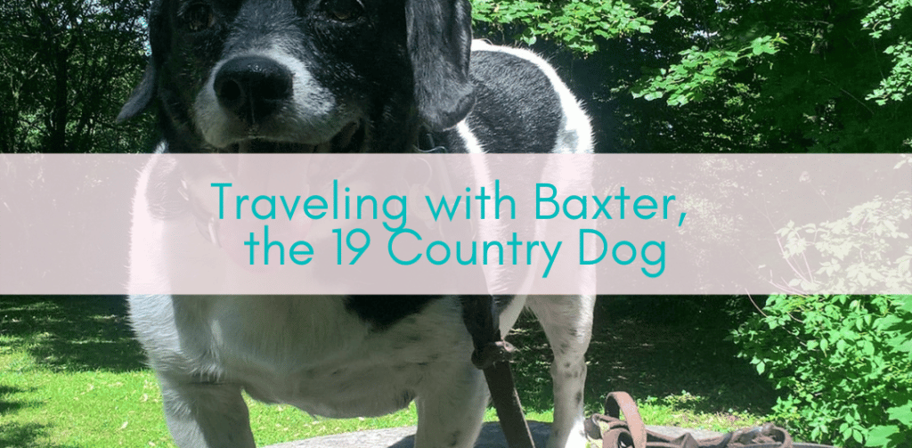 Girls Who Travel | Traveling with Baxter, the 19 Country Dog