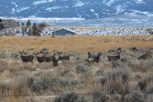 Girls Who Travel | Exploring Montana