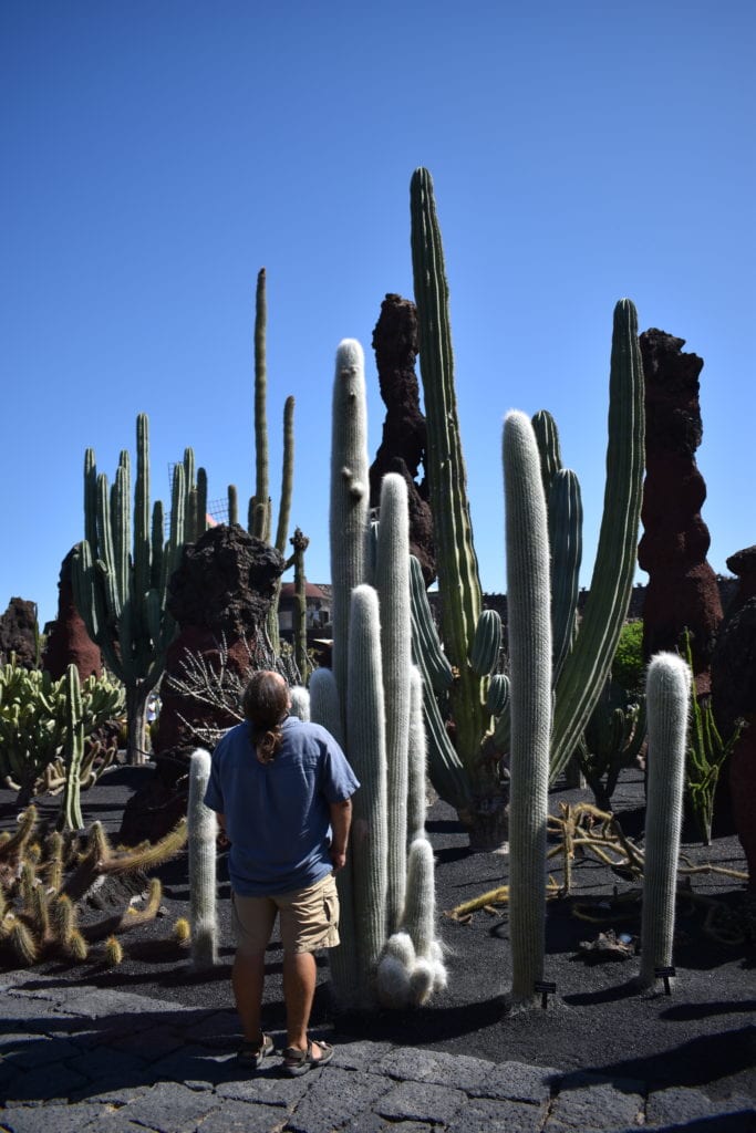 Her Adventures | Exploring Lanzarote