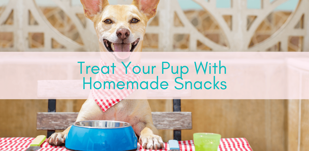 Girls Who Travel | Treat Your Pup With Homemade Snacks