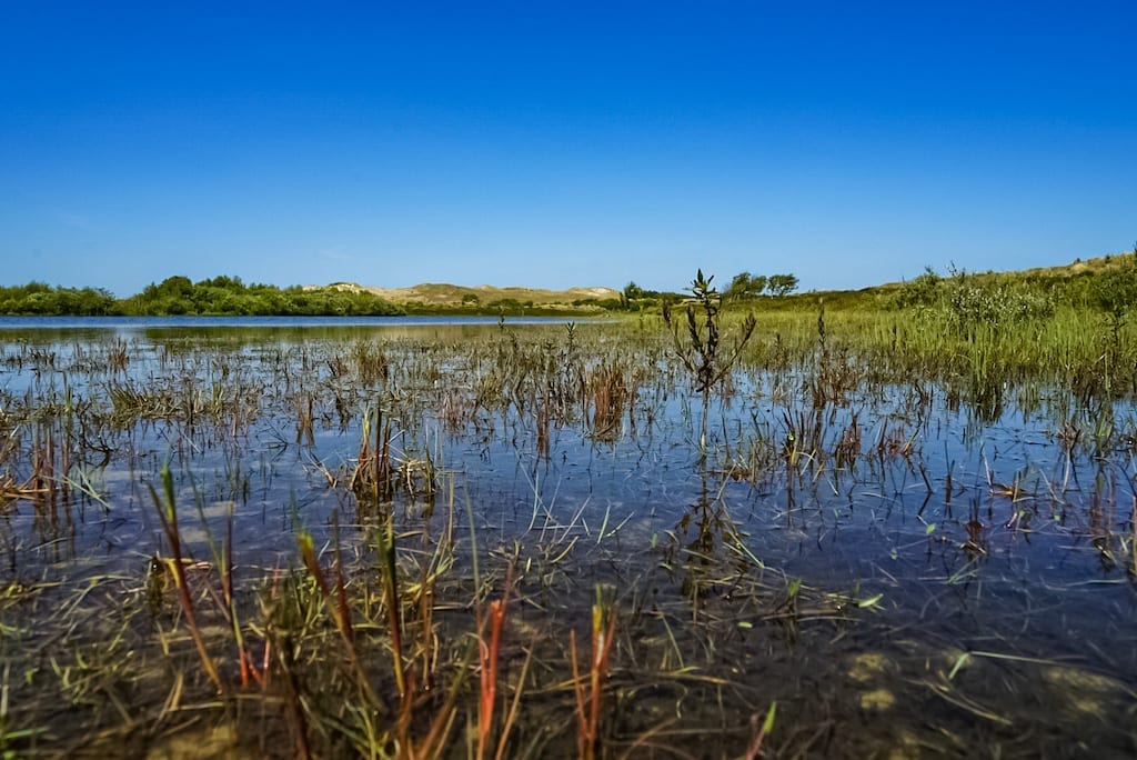 Girls Who Travel | Staycation in the Netherlands: Schoorlse Duinen