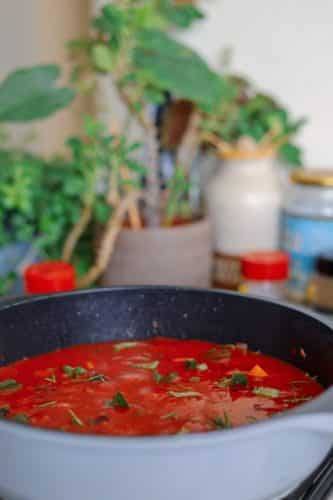 Girls Who Travel - Rasam