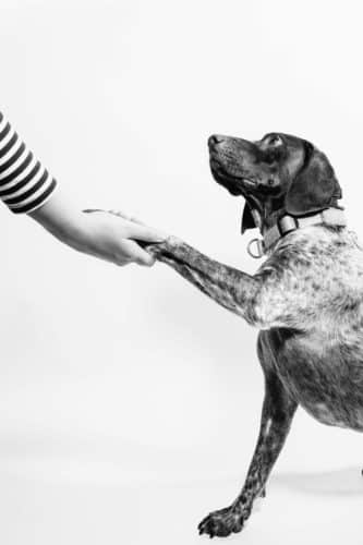 Girls Who Travel | Pets