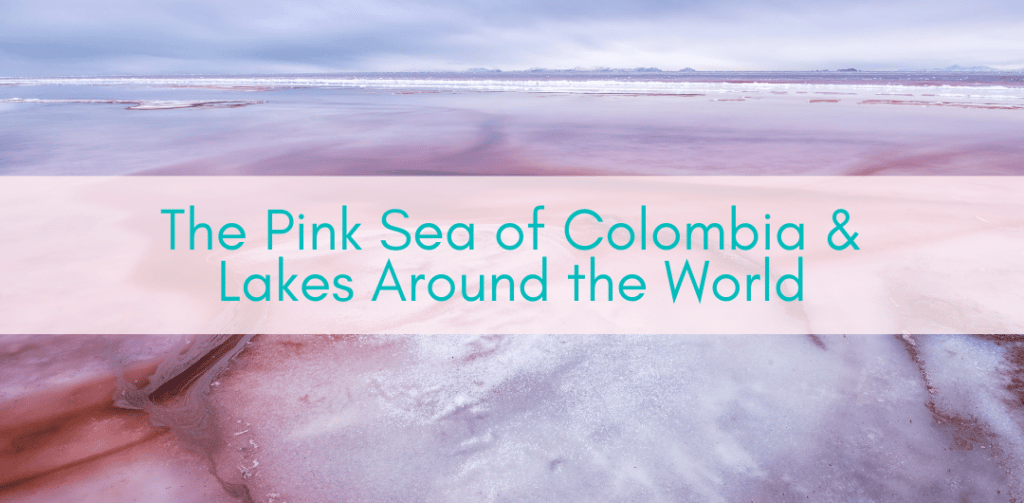 Girls Who Travel | The Pink Sea of Colombia & 5 Spectacular Pink Lakes Around the World