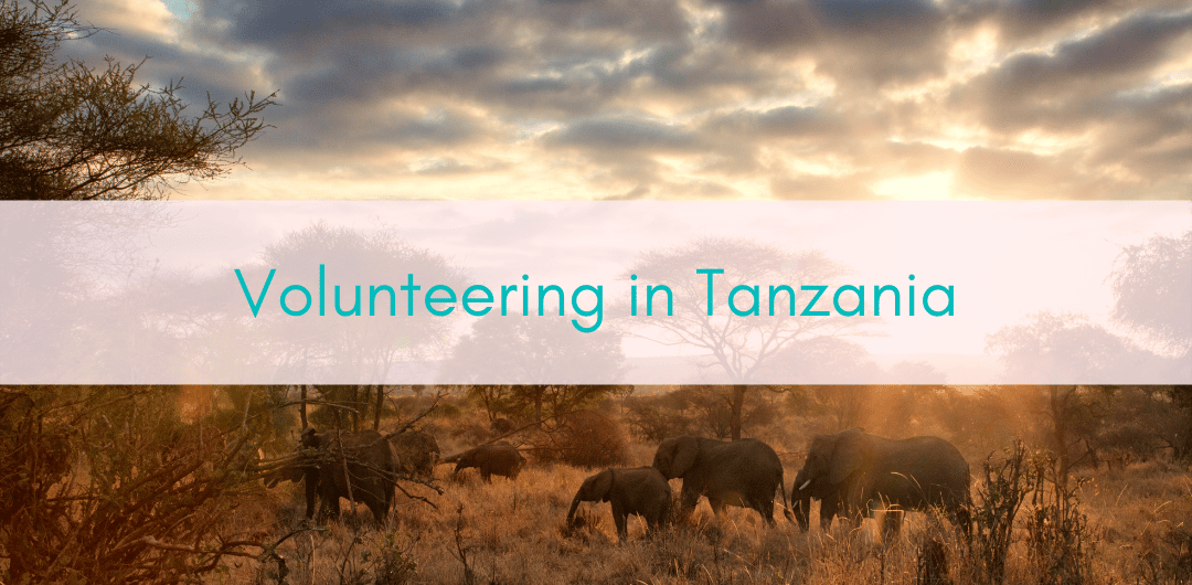 Girls Who Travel | Volunteering in Tanzania