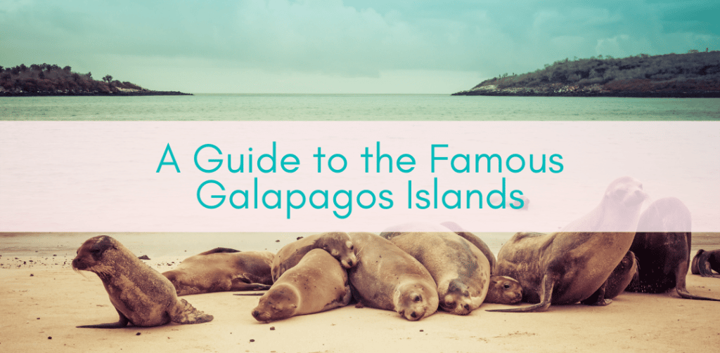 Her Adventures | Guide to the Galapagos Islands