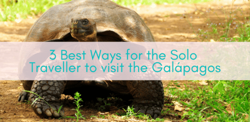 HerAdventures|BestWaysfortheSoloTravellertoVisittheGalápagos