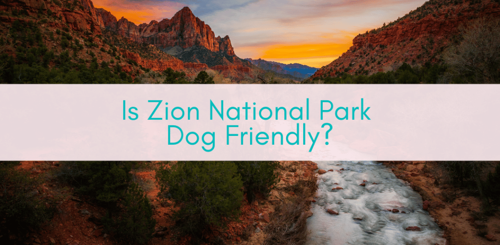 Girls Who Travel | Is Zion National Park Dog Friendly?