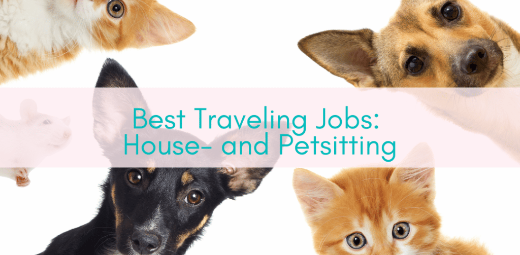 Girls Who Travel | Best Traveling Jobs: House- and Petsitting