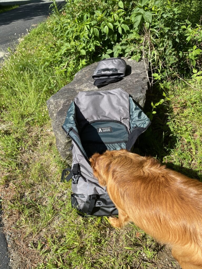 Dog with head in travel backpack by boundary supply