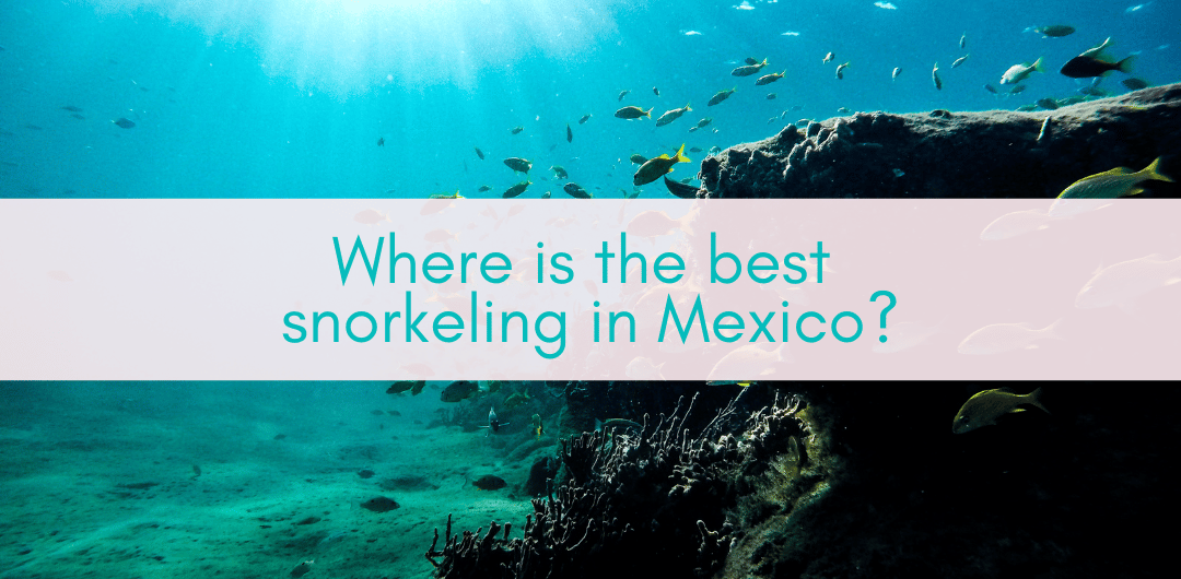Girls Who Travel | Where Is The Best Snorkeling In Mexico?