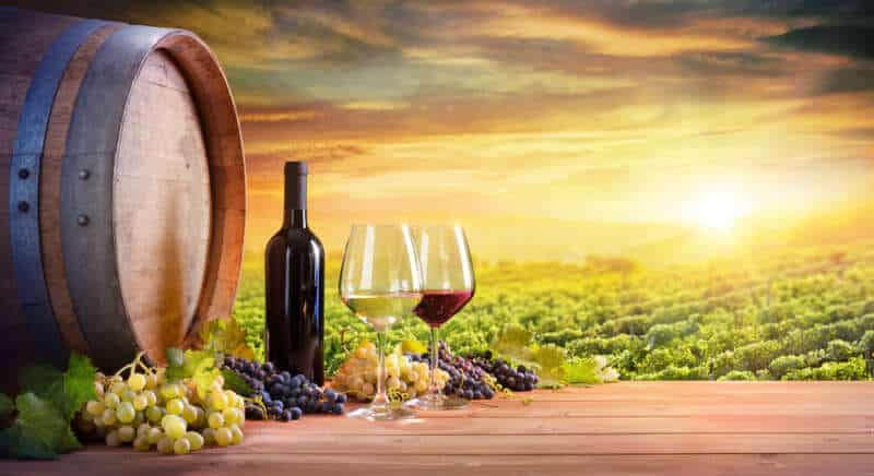 Girls Who Travel | Top Attractions in Virginia’s Wine Country