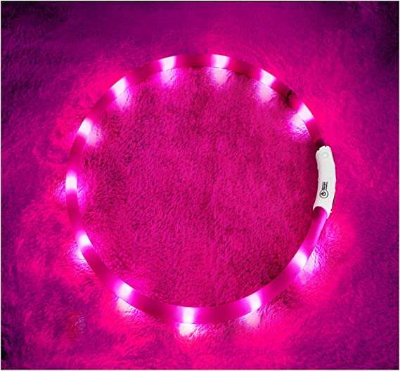Girls Who Travel | glow collar - Best Gifts for Traveling Dog Lovers