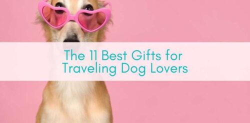 Her Adventures | The 11 Best Gifts for Traveling Dog Lovers