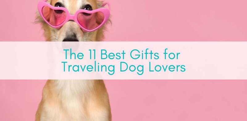 Her Adventures | The 11 Best Gifts for Traveling Dog Lovers