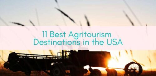 Girls Who Travel | Agritourism Destinations in the USA