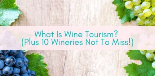 Girls Who Travel | What is wine tourism?