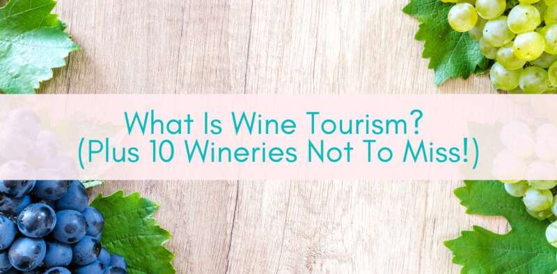 Girls Who Travel | What is wine tourism?