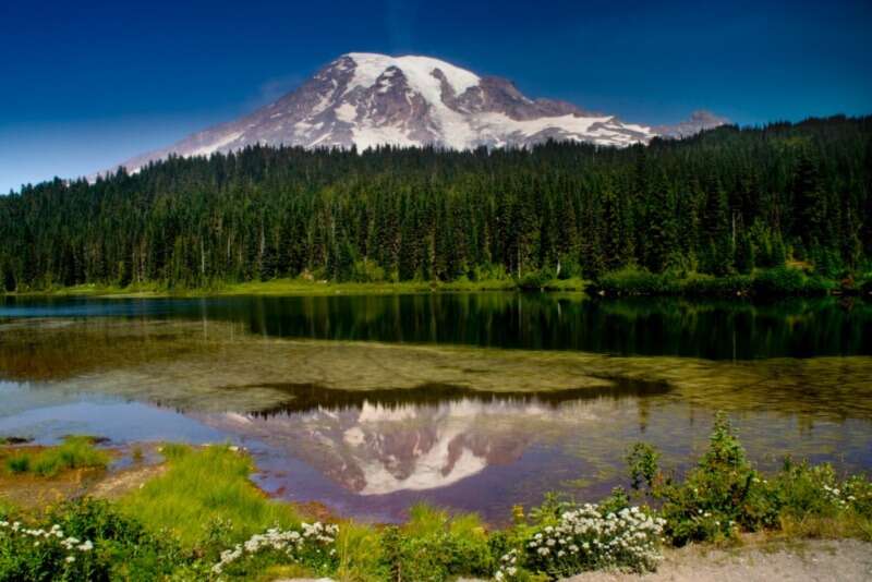 Girls Who Travel | The 14 Best Day Hikes in Mt Rainier National Park For Women