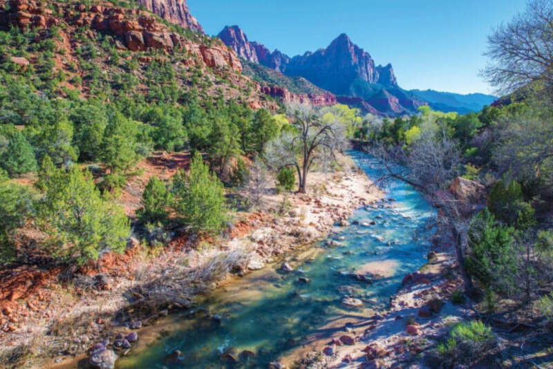 Girls Who Travel | Is Zion National Park Dog Friendly?
