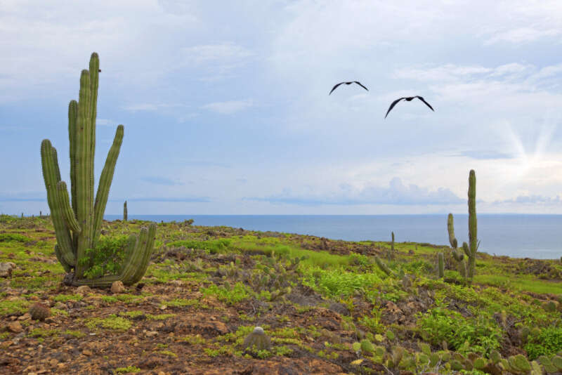 Girls Who Travel | Visit Sunny Aruba In November: Beautiful Beaches & Bloody Marys