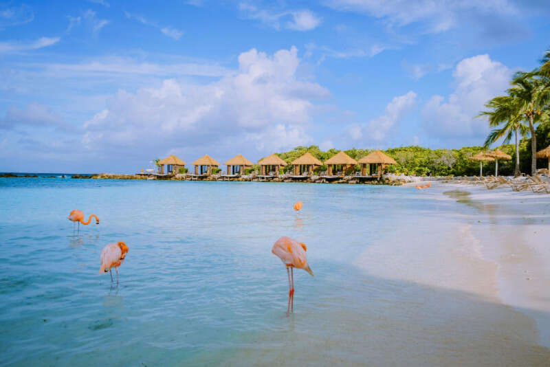 Girls Who Travel | Visit Sunny Aruba In November: Beautiful Beaches & Bloody Marys