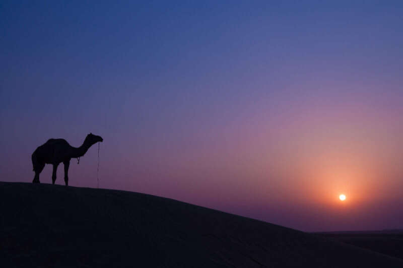 Girls Who Travel | The White Desert - India's Beautiful Rann of Kutch