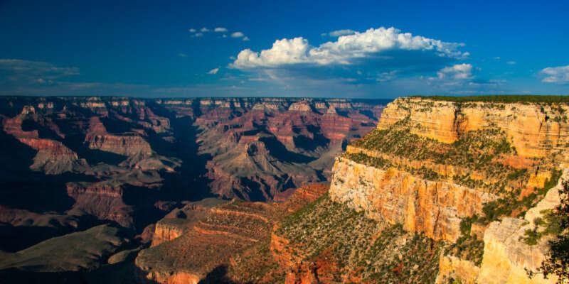 Girls Who Travel | How to Become a National Parks Junior Ranger