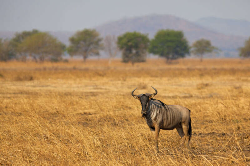 Girls Who Travel | The Best African National Parks