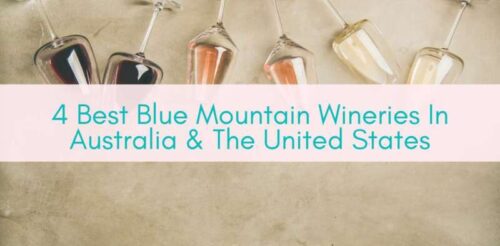 Girls Who Travel | 4 Best Blue Mountain Wineries In Australia & The United States