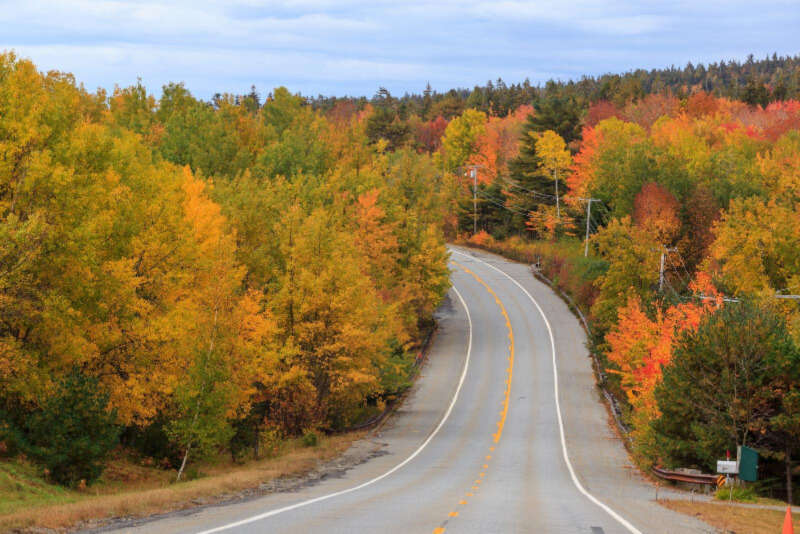 Girls Who Travel | The Best Road Trips in Each Region of the U.S.