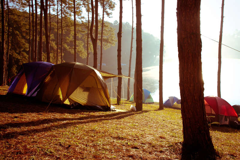 Girls Who Travel | 3 Best Ways To Reduce Your Carbon Footprint While Camping
