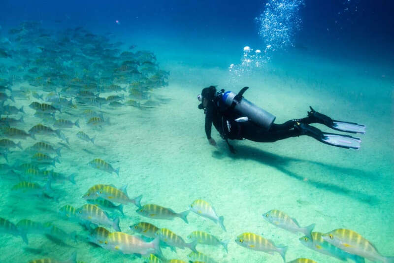 Girls Who Travel | Where Is The Best Snorkeling In Mexico?