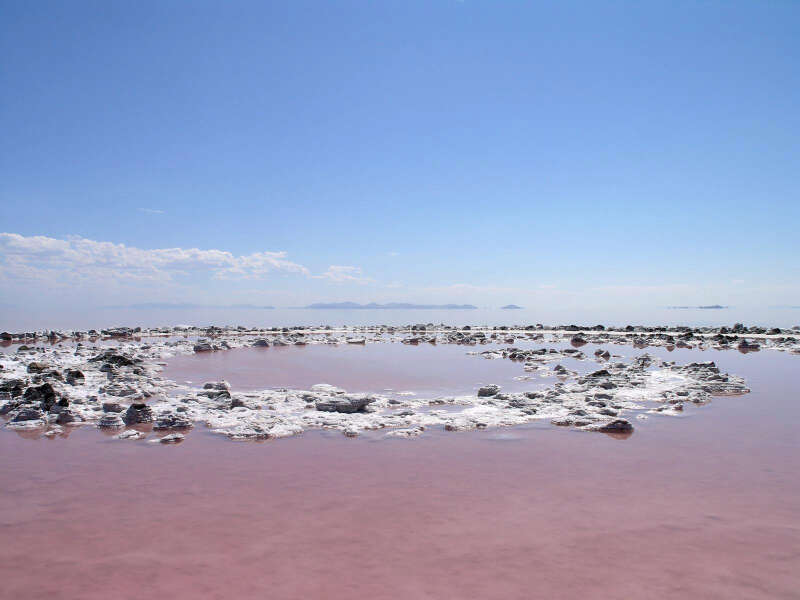 Girls Who Travel | The Pink Sea of Colombia & 5 Spectacular Pink Lakes Around the World