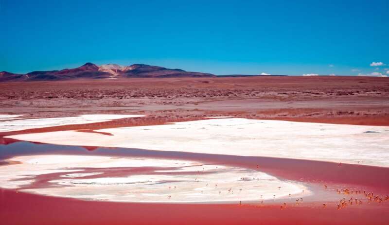 Girls Who Travel | The Pink Sea of Colombia & 5 Spectacular Pink Lakes Around the World