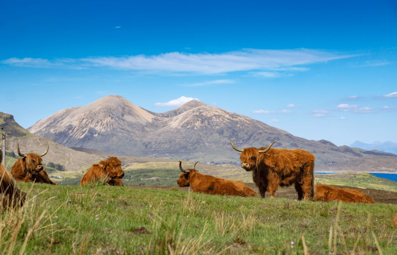 Girls Who Travel | Isle of Skye Highland Cows