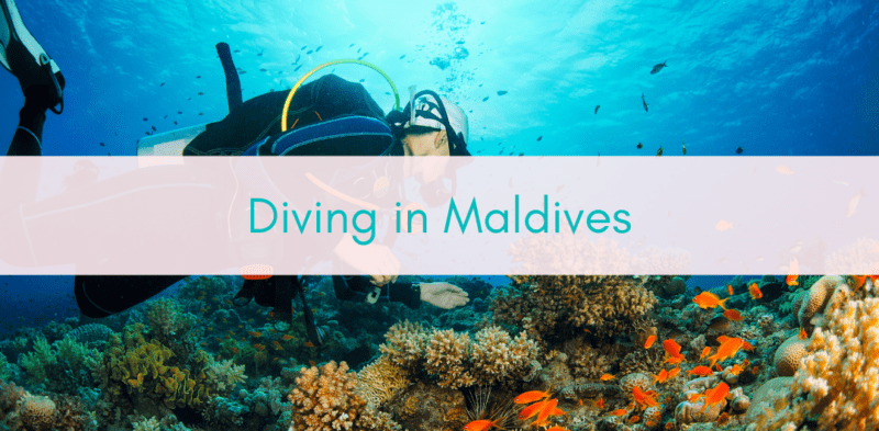 Girls Who Travel | Diving in Maldives