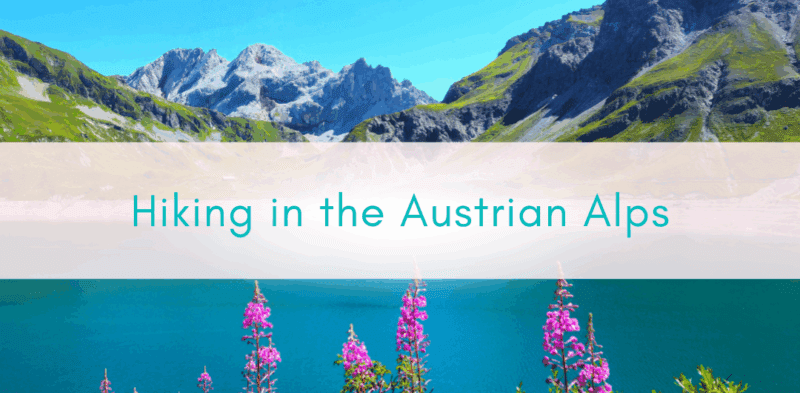 Blog Header Template (4)