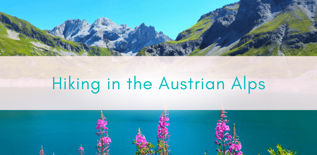 Blog Header Template (4)