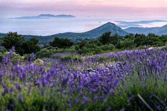 7 Secret Spots in Hvar Every Girl Should Know 6 Girls Who Travel