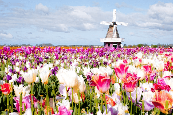 Girls Who Travel | Easter Break UK